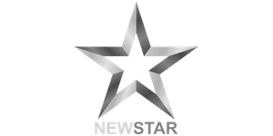 Newstar Rent A Car kurumsal web sitesi logosu